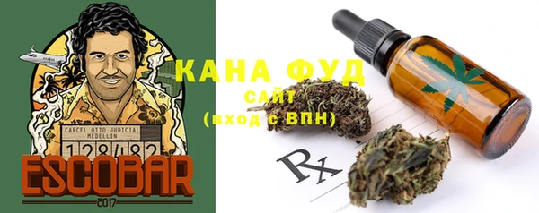 стаф Алзамай