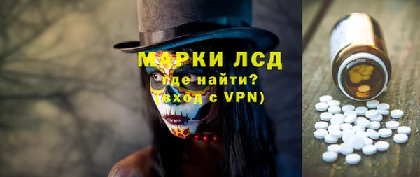 стаф Алзамай