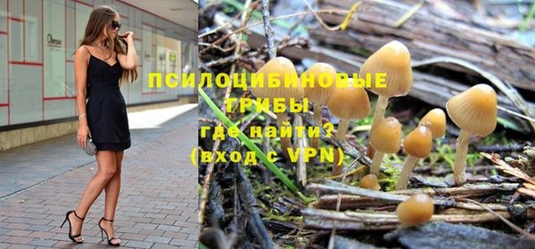 стаф Алзамай