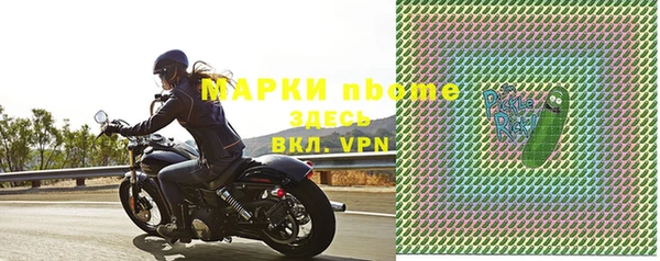 стаф Алзамай