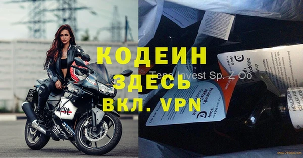 метадон Алексин
