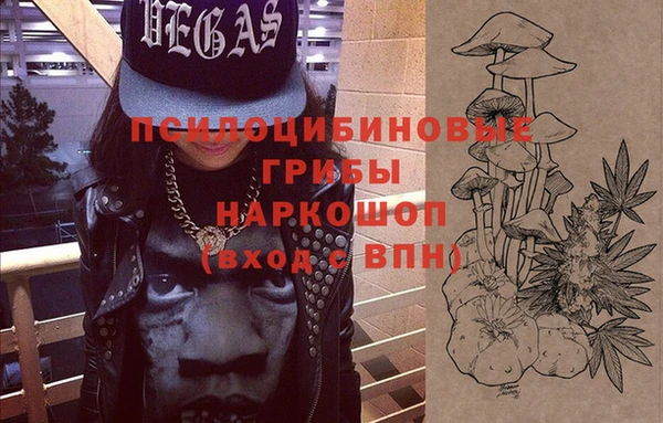 метадон Алексин